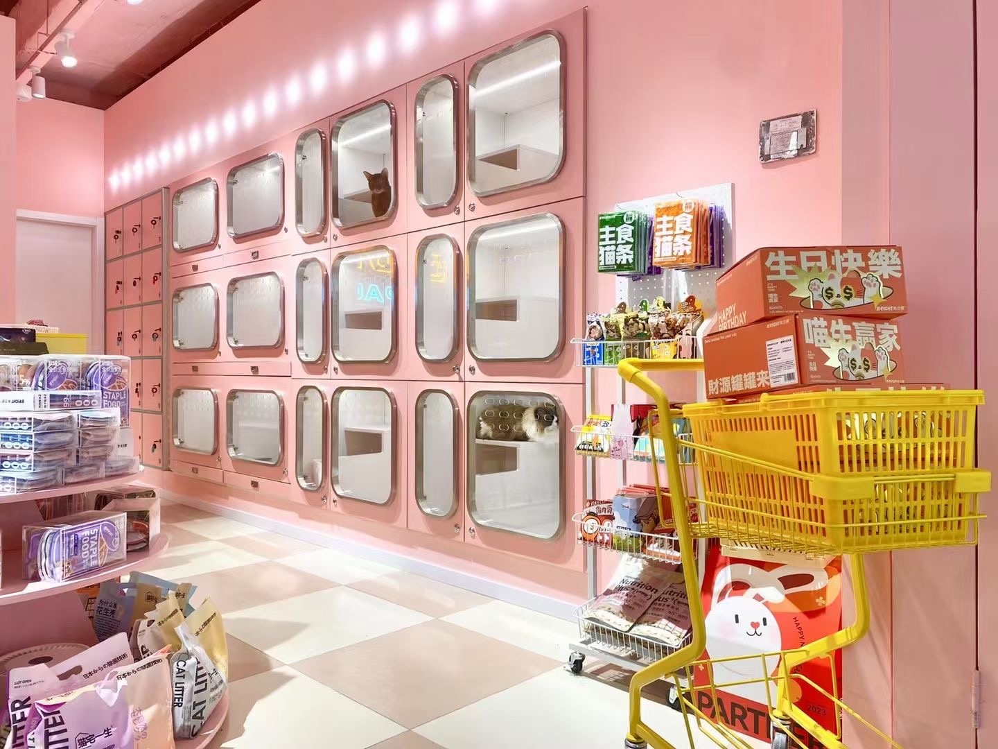 杭州宠物店装修设计：洗护区与寄养空间规划及气味管理实战